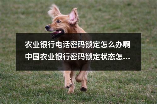 农业银行电话密码锁定怎么办啊 中国农业银行密码锁定状态怎么办
