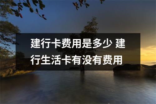 建行卡费用是多少 建行生活卡有没有费用