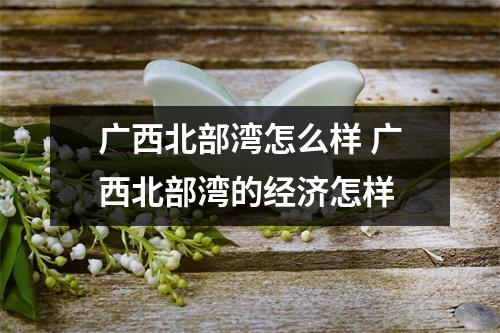 广西北部湾怎么样 广西北部湾的经济怎样