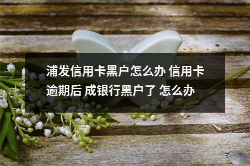 浦发信用卡黑户怎么办 信用卡逾期后 成银行黑户了 怎么办