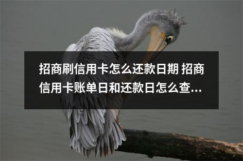 招商刷信用卡怎么还款日期 招商信用卡账单日和还款日怎么查询