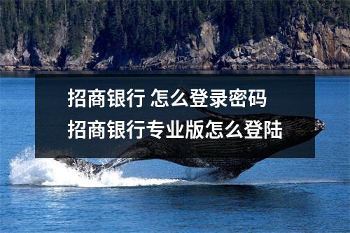 招商银行 怎么登录密码 招商银行专业版怎么登陆