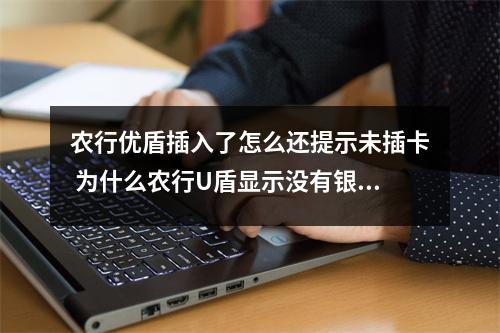农行优盾插入了怎么还提示未插卡 为什么农行U盾显示没有银行卡可支付却能登入网银