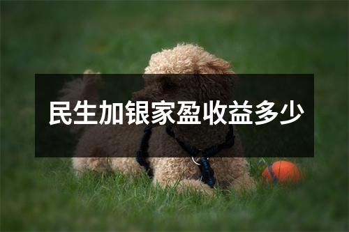 民生加银家盈收益多少