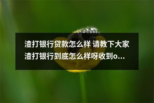 渣打银行贷款怎么样 请教下大家渣打银行到底怎么样呀收到offer比较忐忑  搜