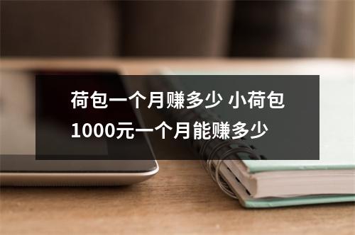 荷包一个月赚多少 小荷包1000元一个月能赚多少