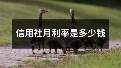 信用社月利率是多少钱