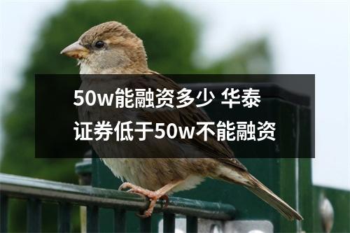 50w能融资多少 华泰证券低于50w不能融资