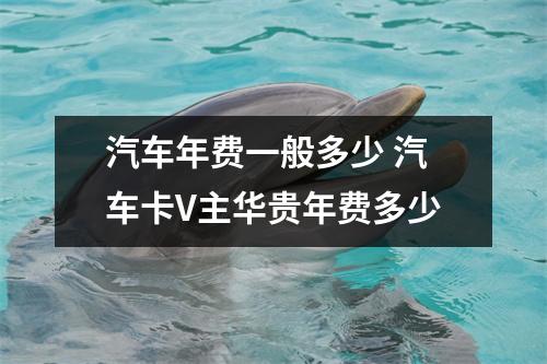 汽车年费一般多少 汽车卡V主华贵年费多少