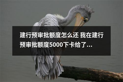建行预审批额度怎么还 我在建行预审批额度5000下卡给了两万额度我也是在网上申请的