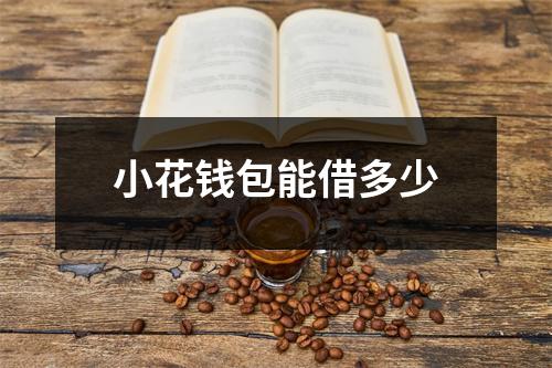 小花钱包能借多少