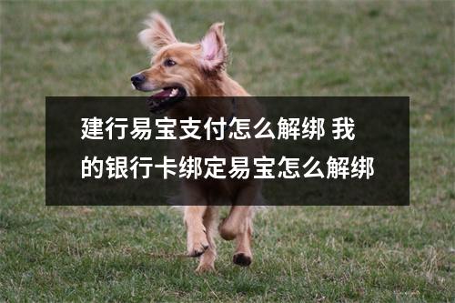 建行易宝支付怎么解绑 我的银行卡绑定易宝怎么解绑