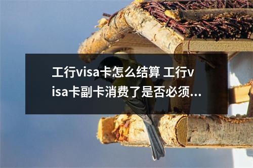 工行visa卡怎么结算 工行visa卡副卡消费了是否必须要主卡去银行还贷还是直接转