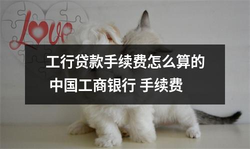 工行贷款手续费怎么算的 中国工商银行 手续费