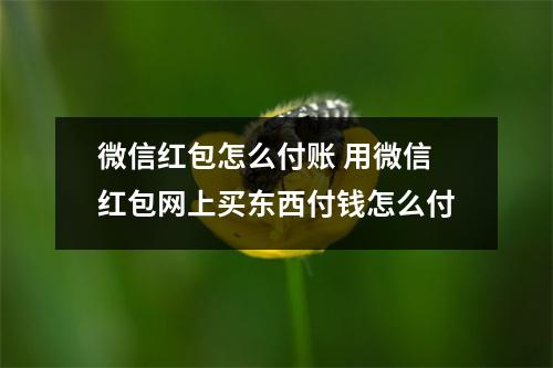 微信红包怎么付账 用微信红包网上买东西付钱怎么付