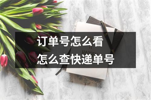 订单号怎么看 怎么查快递单号