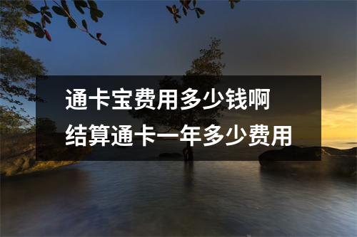 通卡宝费用多少钱啊 结算通卡一年多少费用