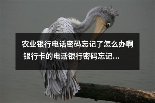 农业银行电话密码忘记了怎么办啊 银行卡的电话银行密码忘记了怎么办
