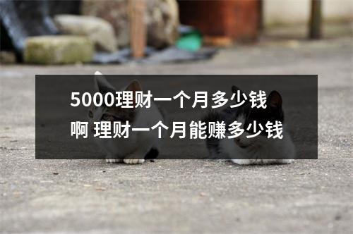 5000理财一个月多少钱啊 理财一个月能赚多少钱
