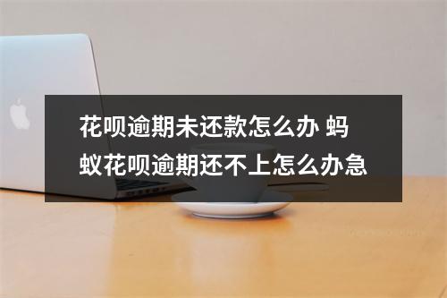 花呗逾期未还款怎么办 蚂蚁花呗逾期还不上怎么办急