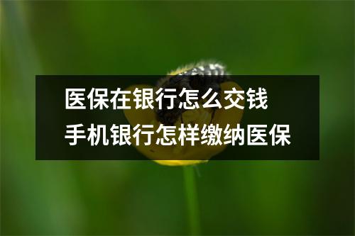 医保在银行怎么交钱 手机银行怎样缴纳医保