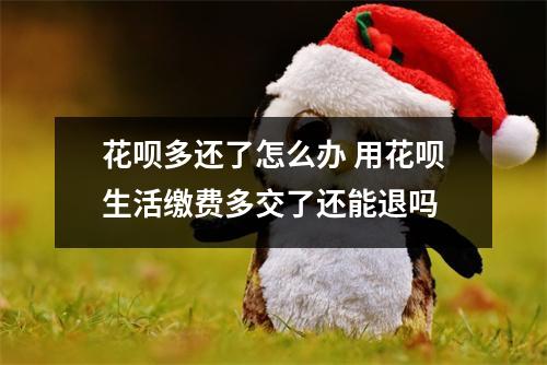 花呗多还了怎么办 用花呗生活缴费多交了还能退吗