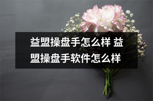 益盟操盘手怎么样 益盟操盘手软件怎么样