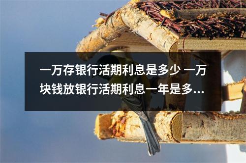 一万存银行活期利息是多少 一万块钱放银行活期利息一年是多少