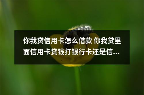 你我贷信用卡怎么借款 你我贷里面信用卡贷钱打银行卡还是信用卡