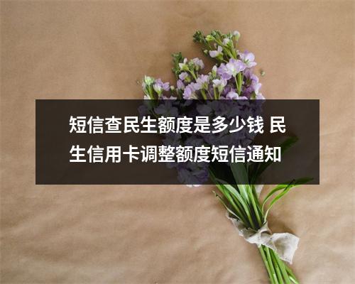 短信查民生额度是多少钱 民生信用卡调整额度短信通知