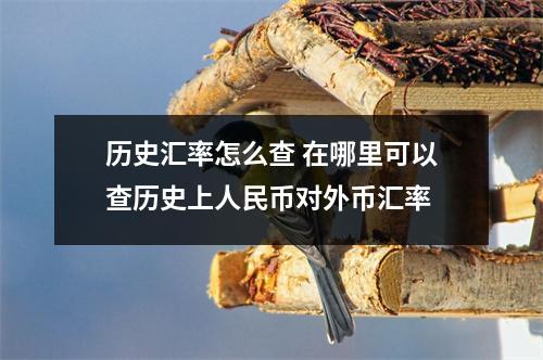 历史汇率怎么查 在哪里可以查历史上人民币对外币汇率