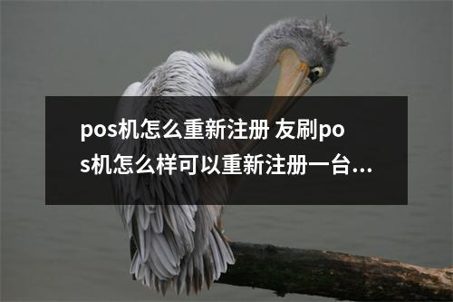 pos机怎么重新注册 友刷pos机怎么样可以重新注册一台我之前的一台掉了现在想从