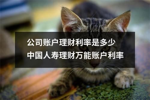 公司账户理财利率是多少 中国人寿理财万能账户利率