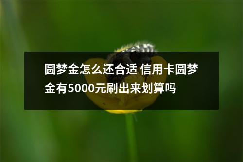 圆梦金怎么还合适 信用卡圆梦金有5000元刷出来划算吗