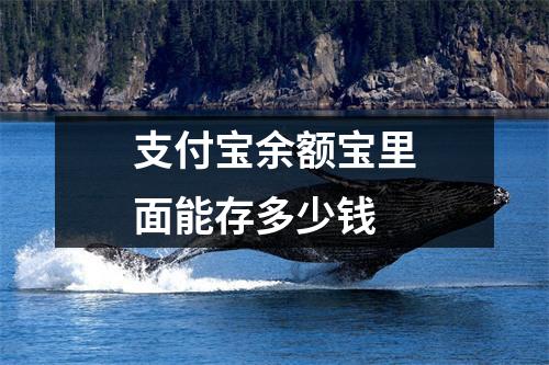 支付宝余额宝里面能存多少钱