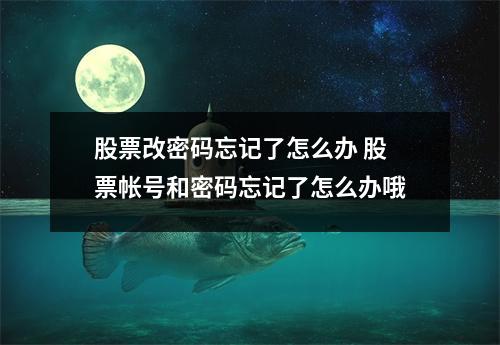 股票改密码忘记了怎么办 股票帐号和密码忘记了怎么办哦