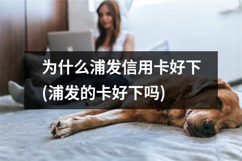为什么浦发信用卡好下(浦发的卡好下吗)