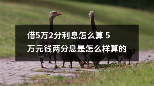借5万2分利息怎么算 5万元钱两分息是怎么样算的