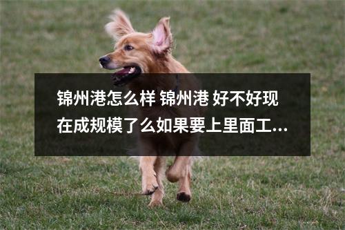 锦州港怎么样 锦州港 好不好现在成规模了么如果要上里面工作 哪个部门好啊或