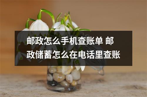 邮政怎么手机查账单 邮政储蓄怎么在电话里查账