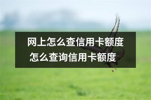 网上怎么查信用卡额度 怎么查询信用卡额度