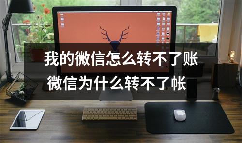 我的微信怎么转不了账 微信为什么转不了帐