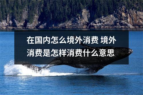 在国内怎么境外消费 境外消费是怎样消费什么意思