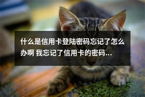 什么是信用卡登陆密码忘记了怎么办啊 我忘记了信用卡的密码怎样办理