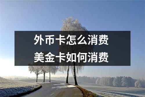 外币卡怎么消费 美金卡如何消费