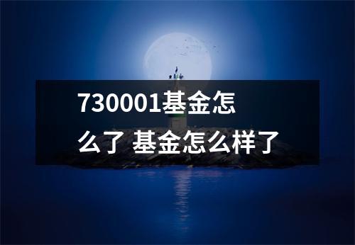 730001基金怎么了 基金怎么样了