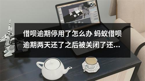 借呗逾期停用了怎么办 蚂蚁借呗逾期两天还了之后被关闭了还能重新开通吗