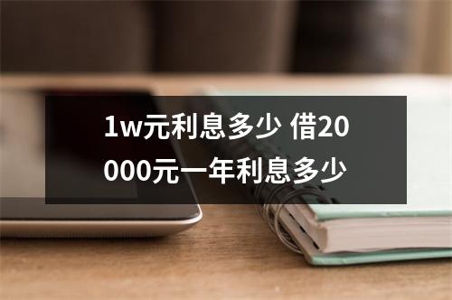 1w元利息多少 借20000元一年利息多少