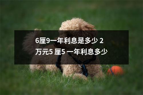 6厘9一年利息是多少 2 万元5 厘5 一年利息多少