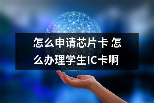怎么申请芯片卡 怎么办理学生IC卡啊